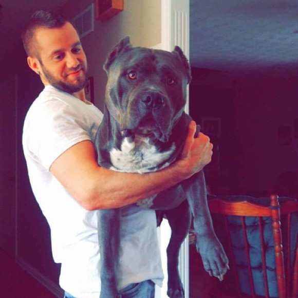 Meet your Posher, Posh - Picture 1 of 1